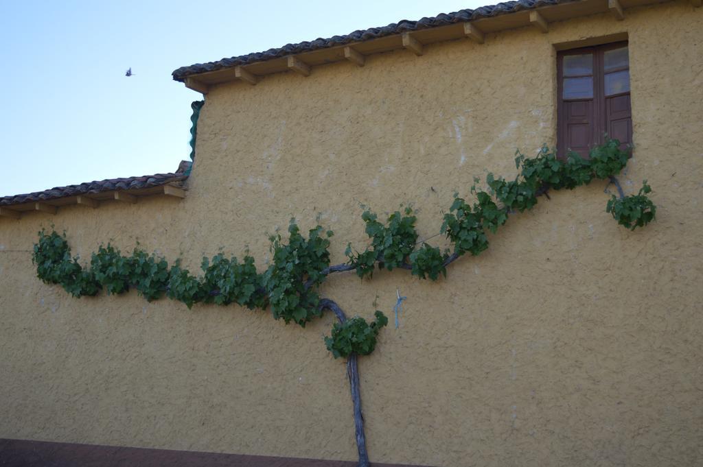 Casa Rural Los Llaganos Villaturiel Экстерьер фото
